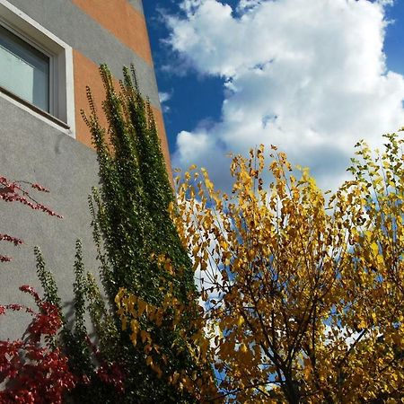 Hisa Posebne Sorte Kodreti エクステリア 写真